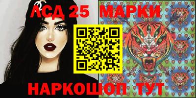 гашик Новодвинск
