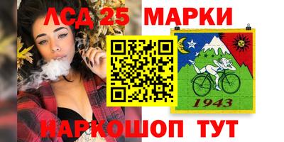 гашик Новодвинск