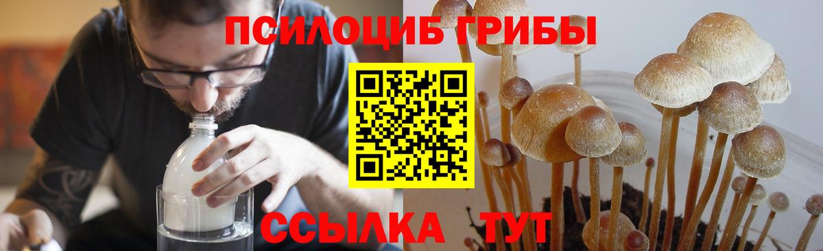 Галлюциногенные грибы Magic Shrooms  Вход с VPN  Углич 